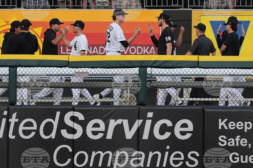 Rays White Sox Baseball