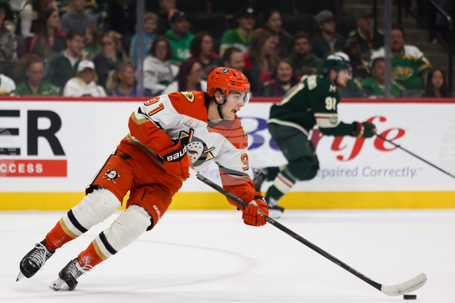 Ducks Wild Hockey