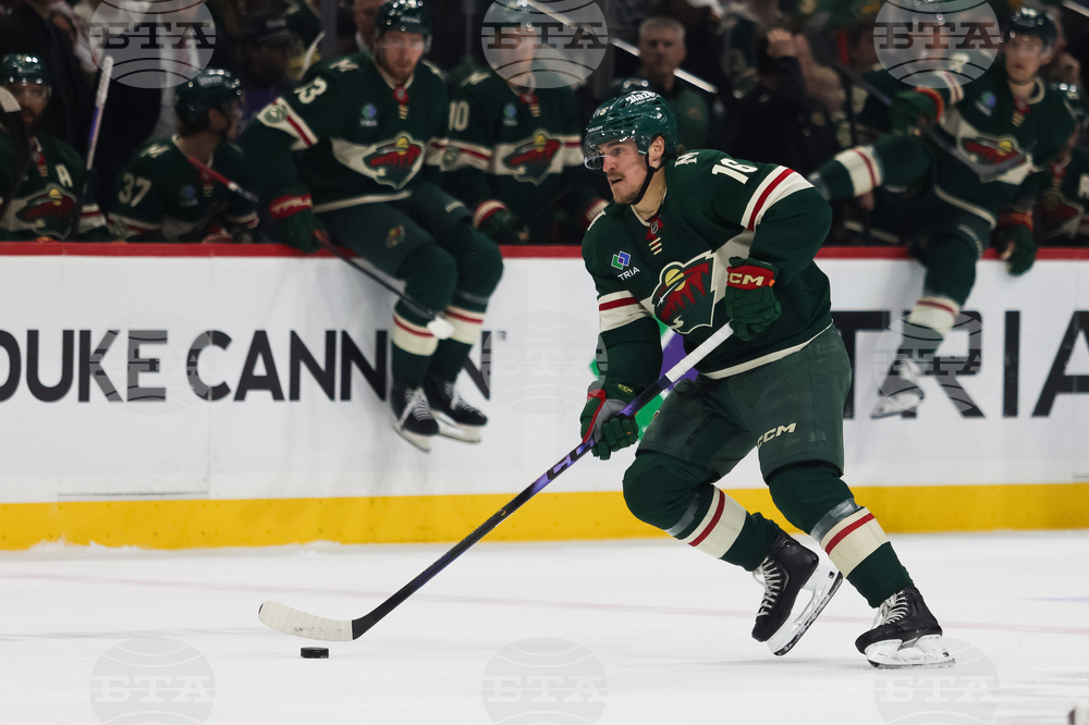 Ducks Wild Hockey