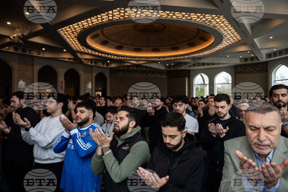 Election 2026 Lebanese Americans