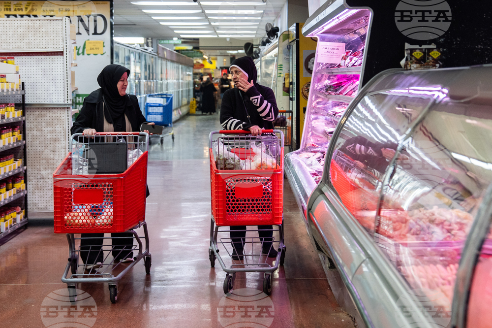 Election 2026 Lebanese Americans