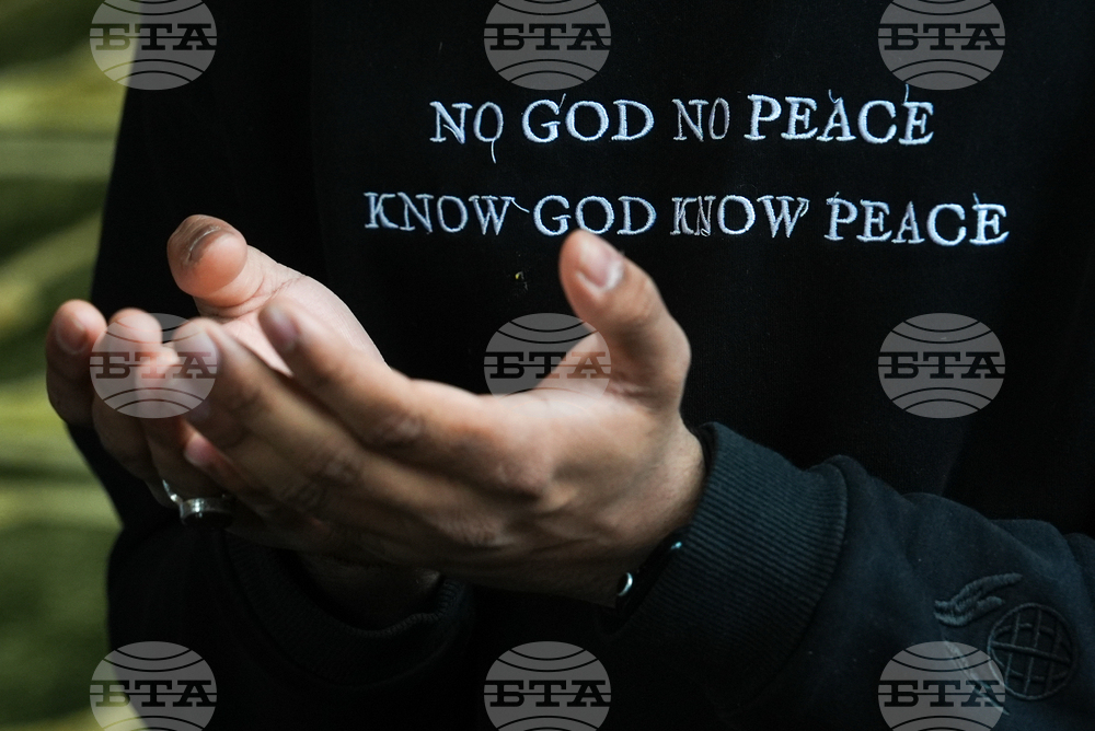 Election 2026 Lebanese Americans