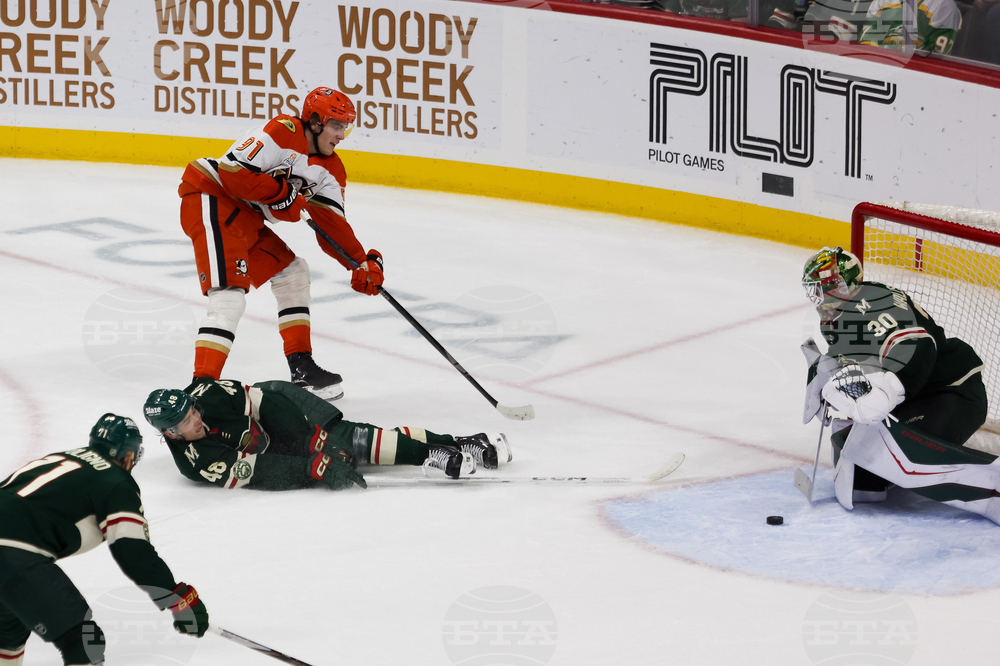 Ducks Wild Hockey