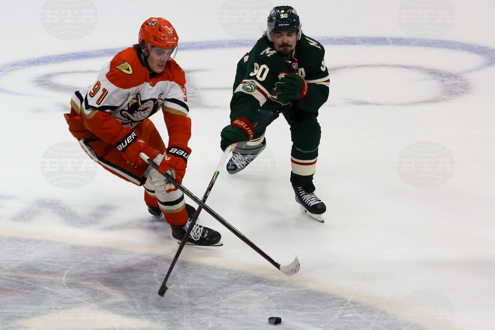 Ducks Wild Hockey