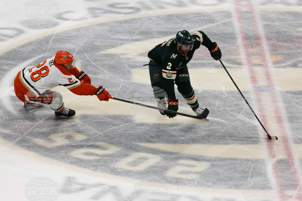 Ducks Wild Hockey