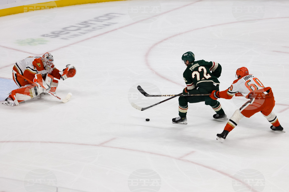 Ducks Wild Hockey