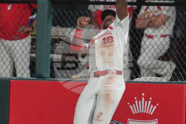 Guardians Cardinals Baseball