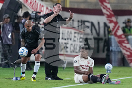 Peru Chile Copa Libertadores Soccer
