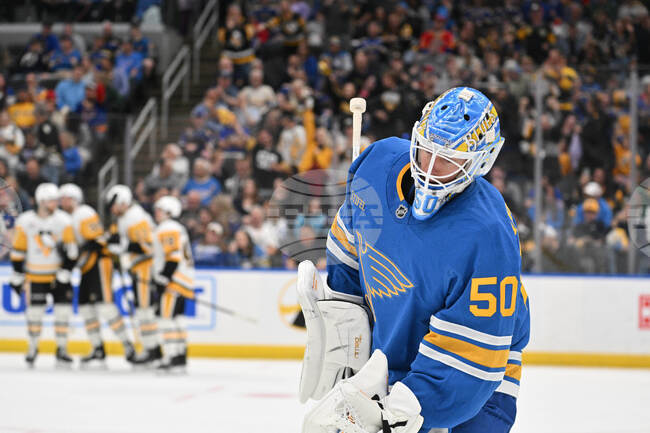 Penguins Blues Hockey