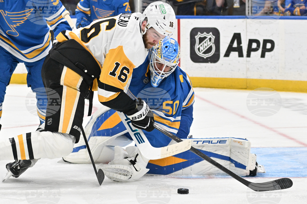 Penguins Blues Hockey