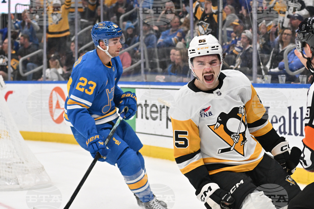 Penguins Blues Hockey