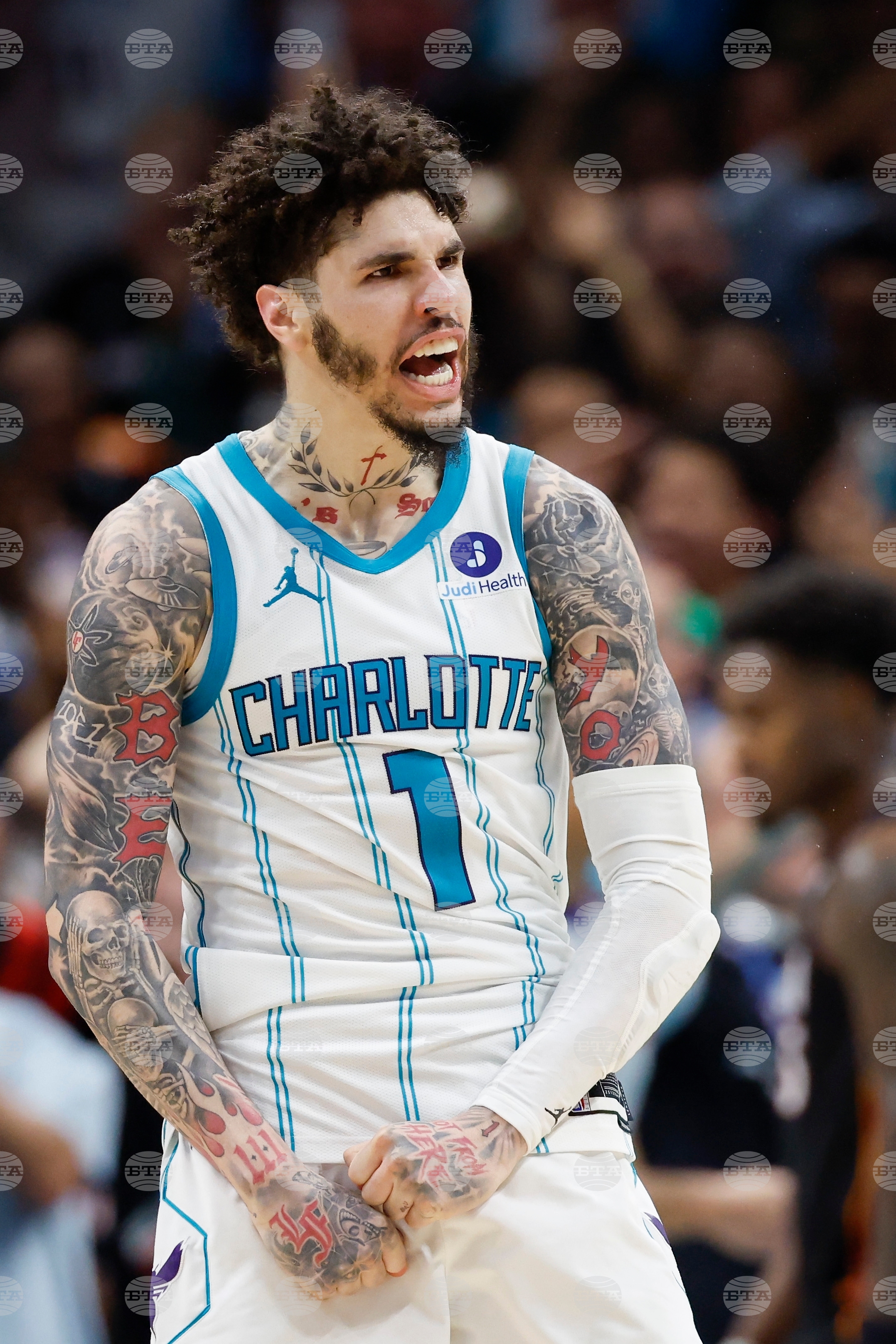 Heat Hornets Basketball