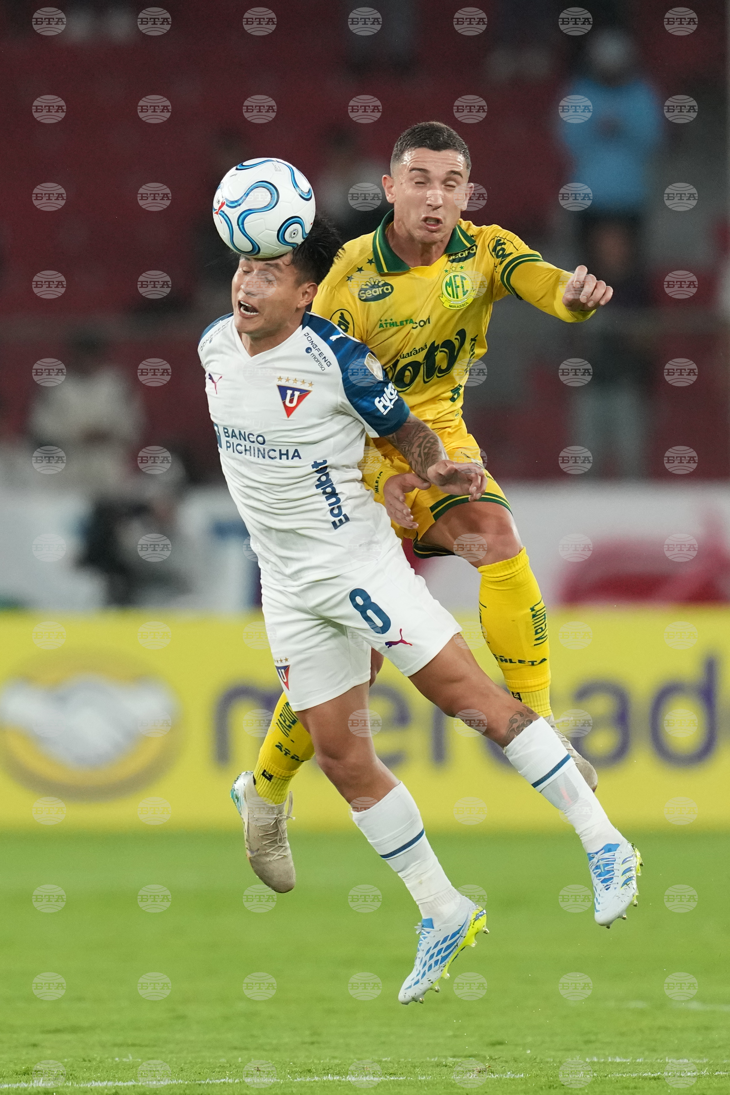 Ecuador Brazil Copa Libertadores Soccer
