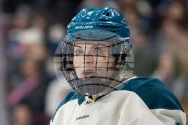 PWHL Torrent Goldeneys Hockey