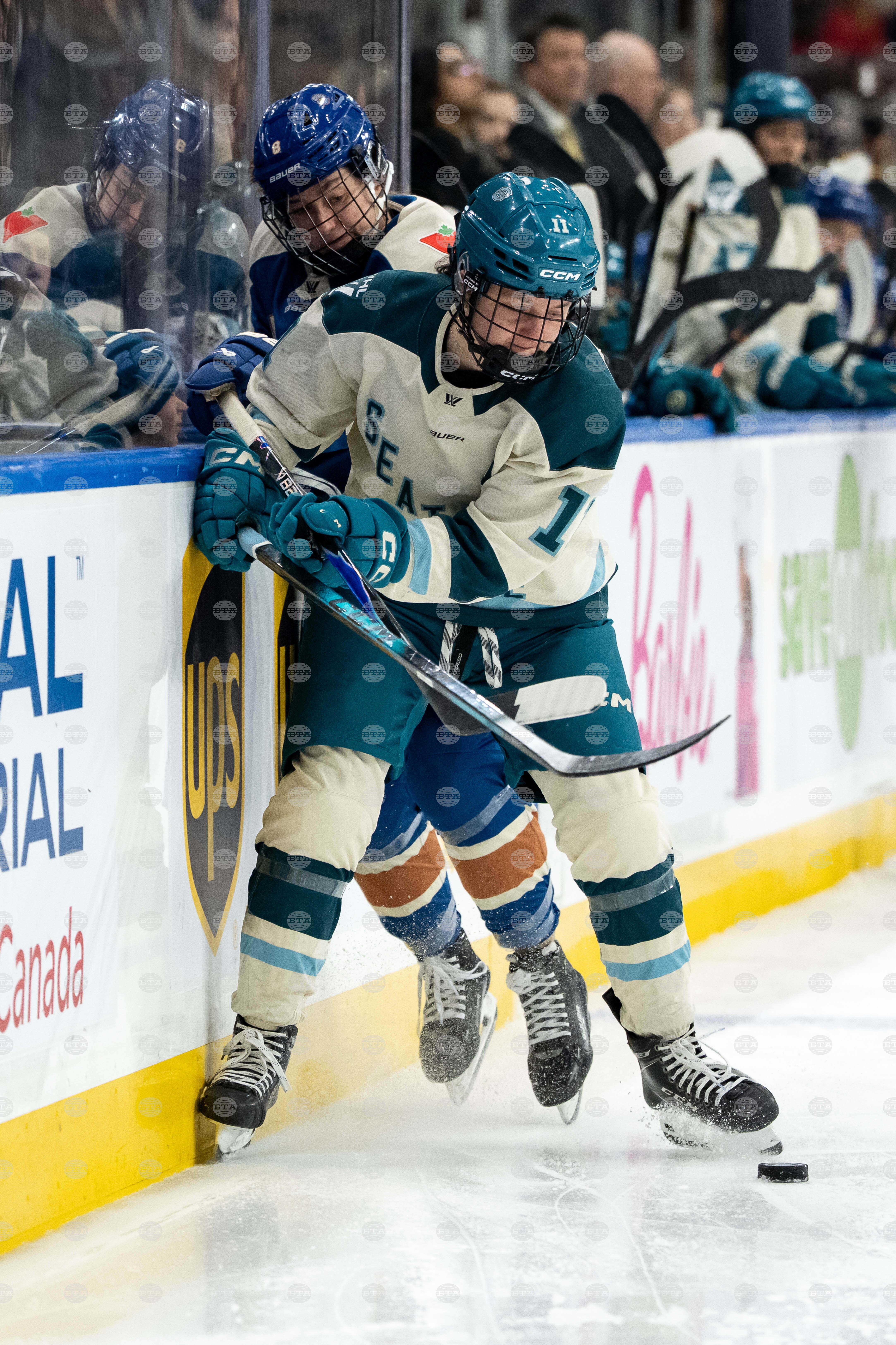 PWHL Torrent Goldeneys Hockey