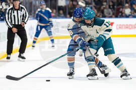 PWHL Torrent Goldeneys Hockey