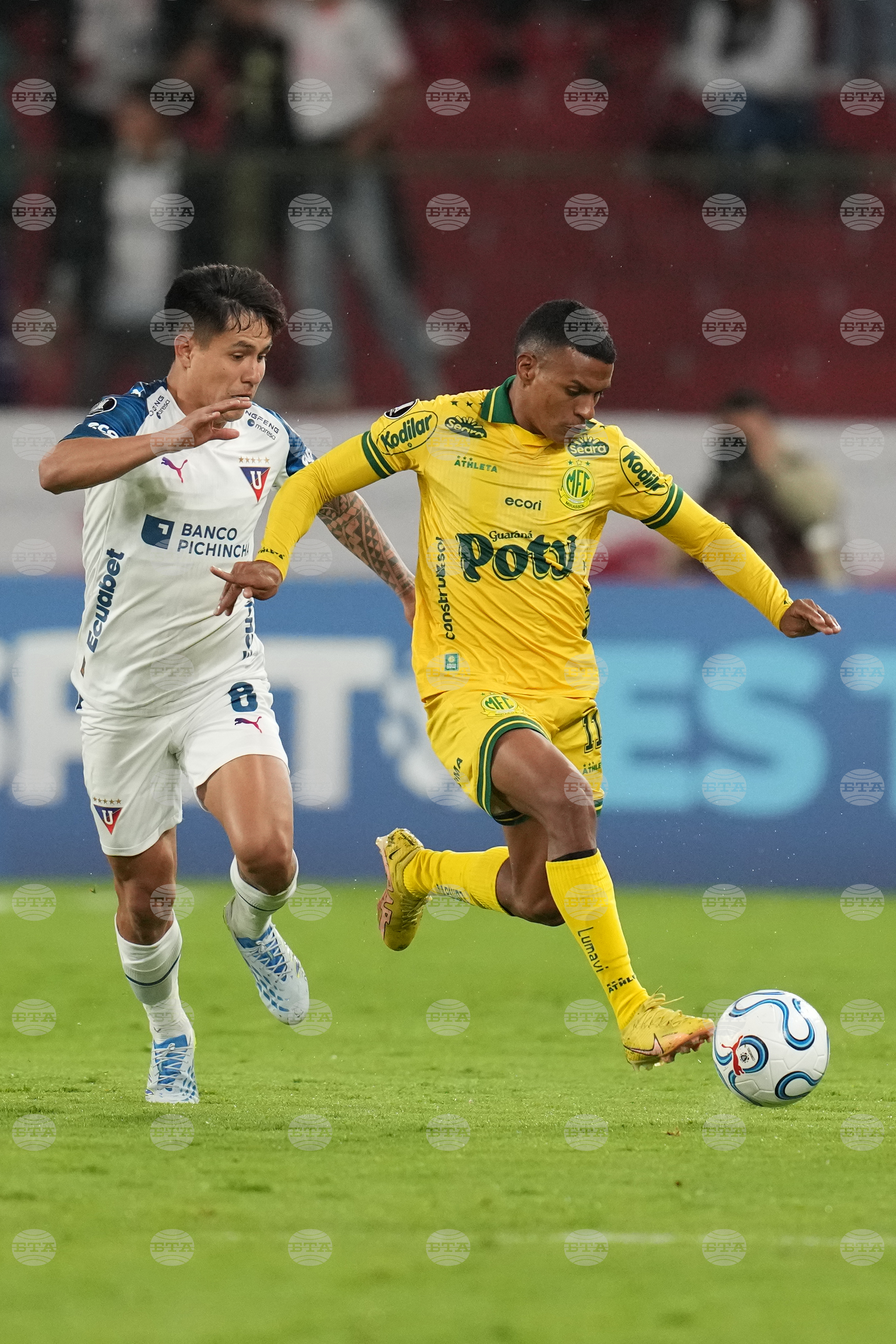 Ecuador Brazil Copa Libertadores Soccer