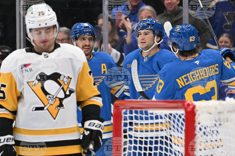 Penguins Blues Hockey