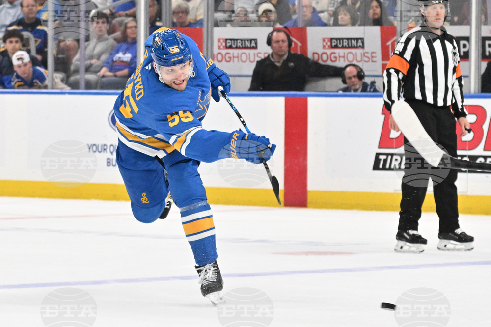 Penguins Blues Hockey