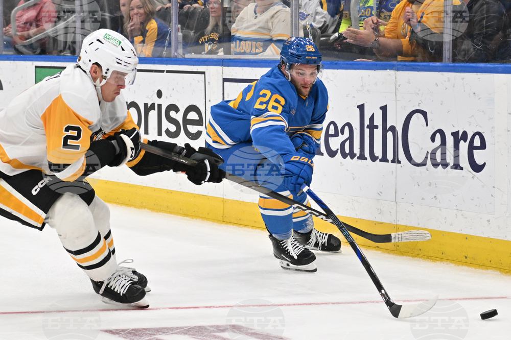 Penguins Blues Hockey