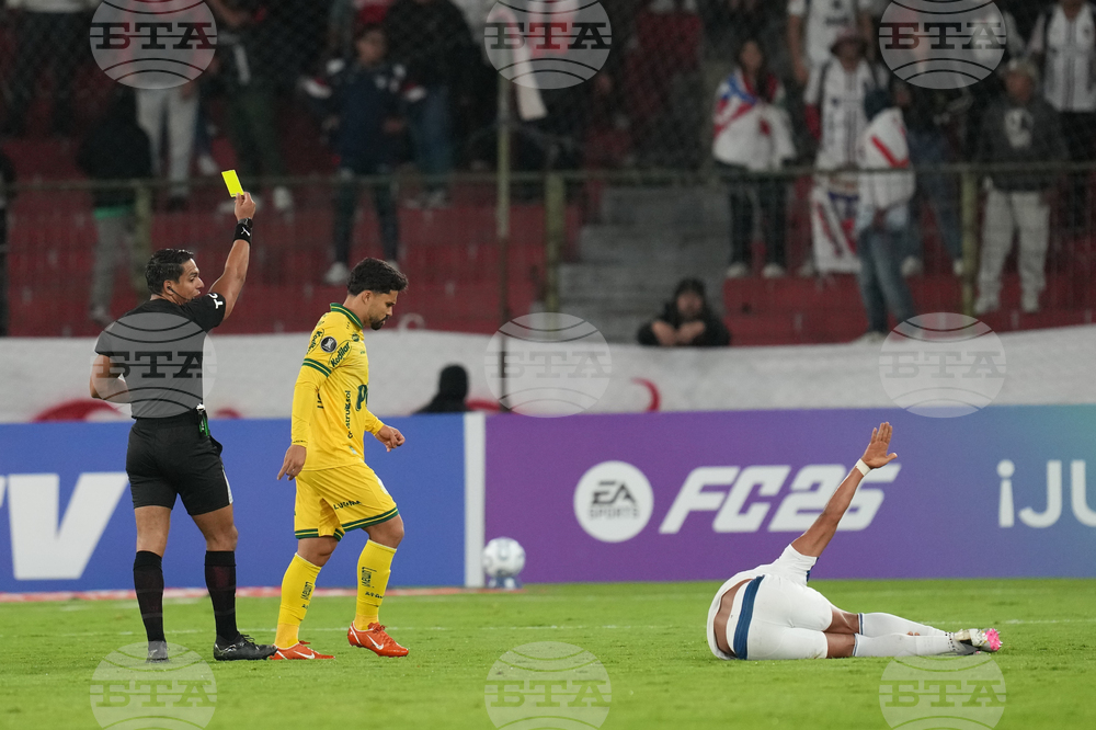 Ecuador Brazil Copa Libertadores Soccer