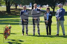 Australia Royals