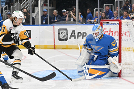 Penguins Blues Hockey