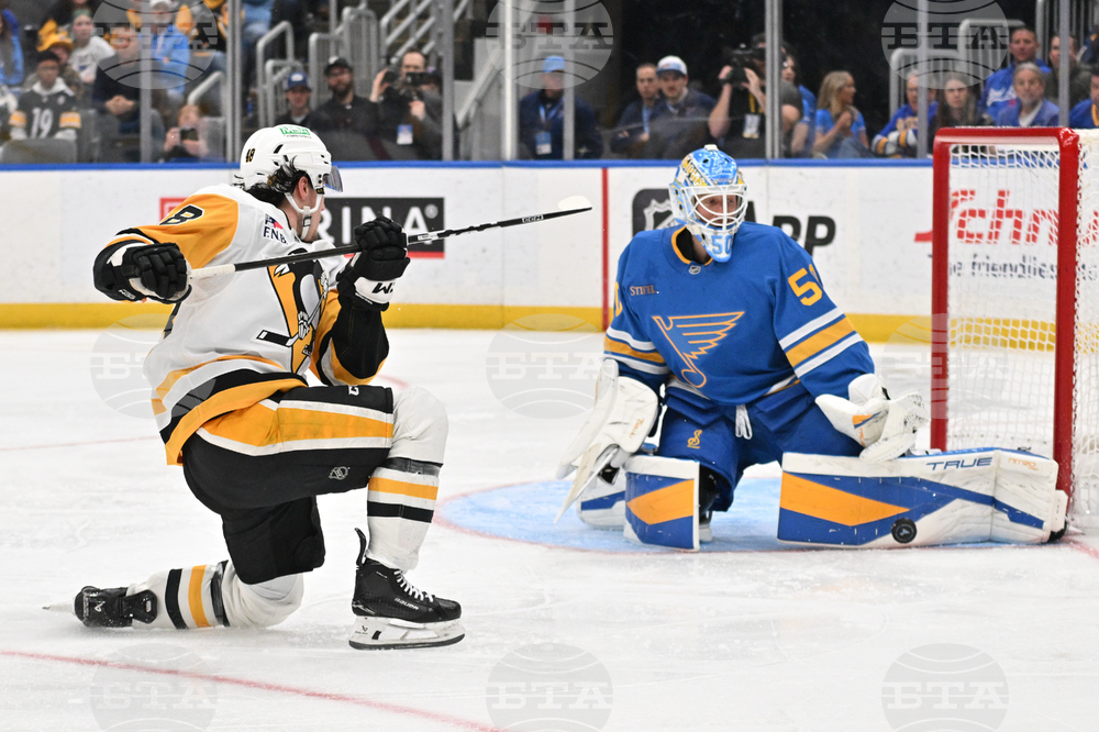 Penguins Blues Hockey