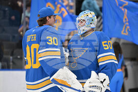 Penguins Blues Hockey