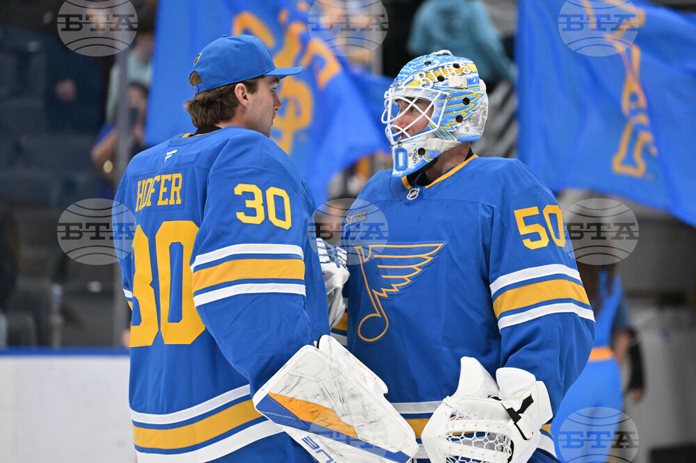 Penguins Blues Hockey
