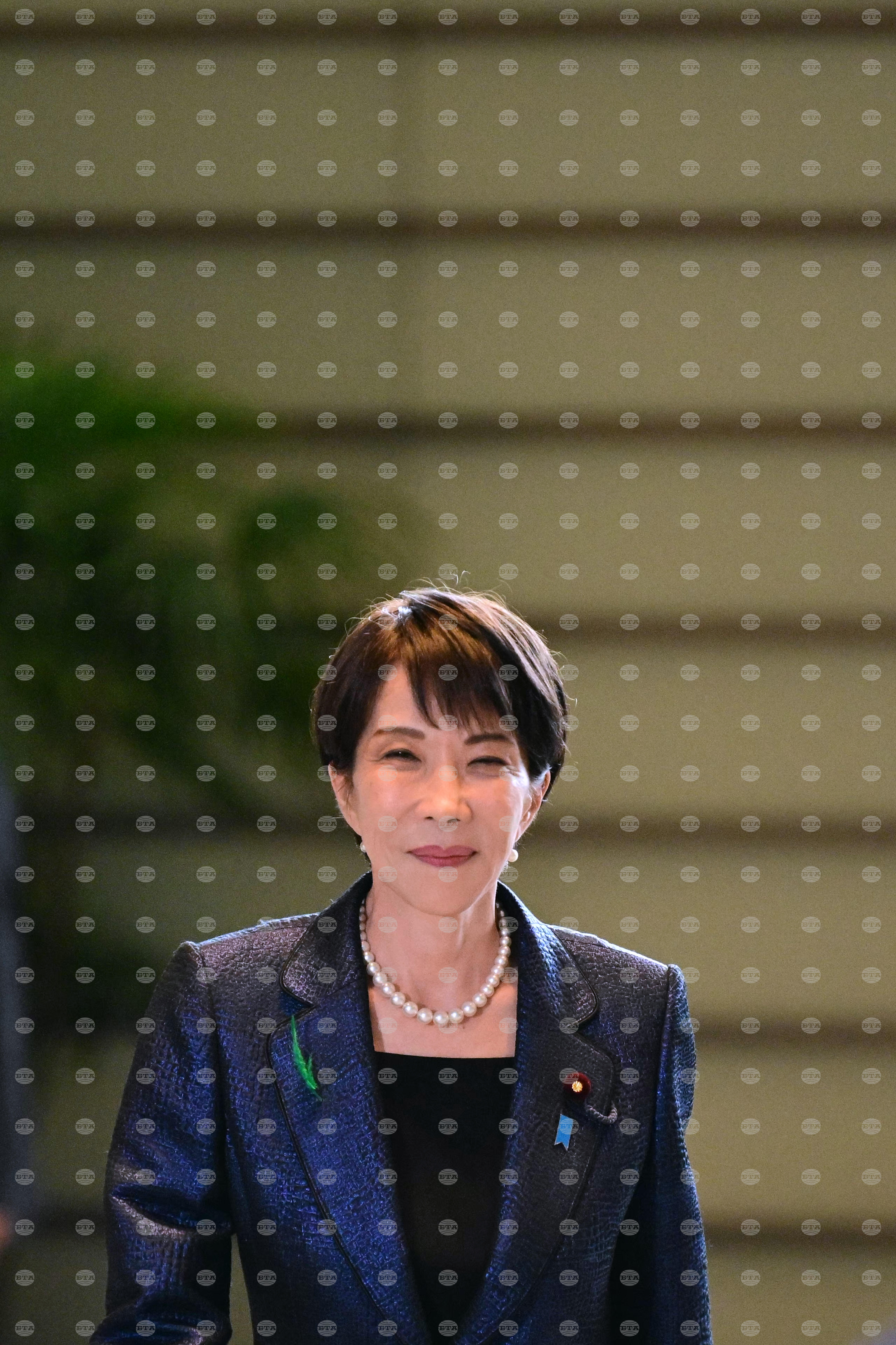 Japan Politics