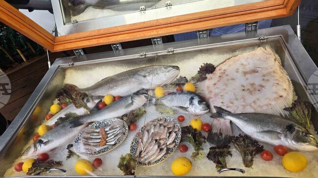 Турция конфискува 550 тона риба и аквакултури, както и 84 незаконни риболовни кораба през 2025 г. 