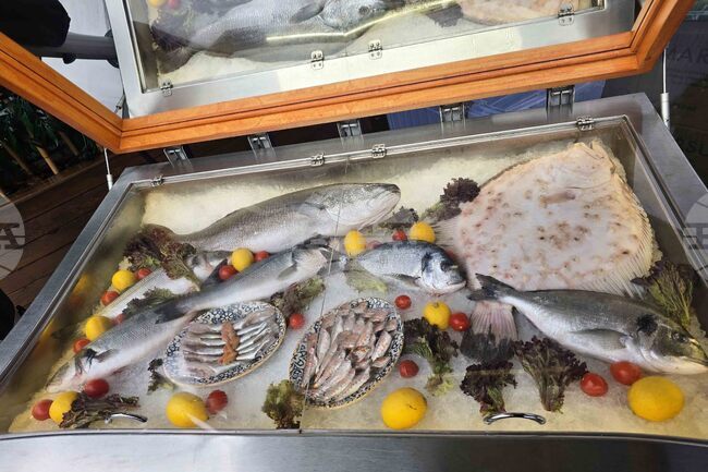 Турция е конфискувала 550 тона риба и аквакултури, както и 84 незаконни риболовни кораба през 2025 г. 