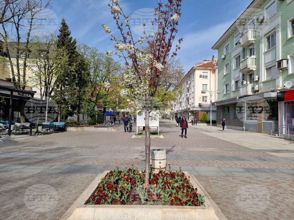 Сливен - пролетни цветя