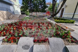 Сливен - пролетни цветя