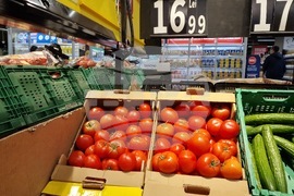 Румъния - домати - цени