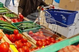 Румъния - домати - цени