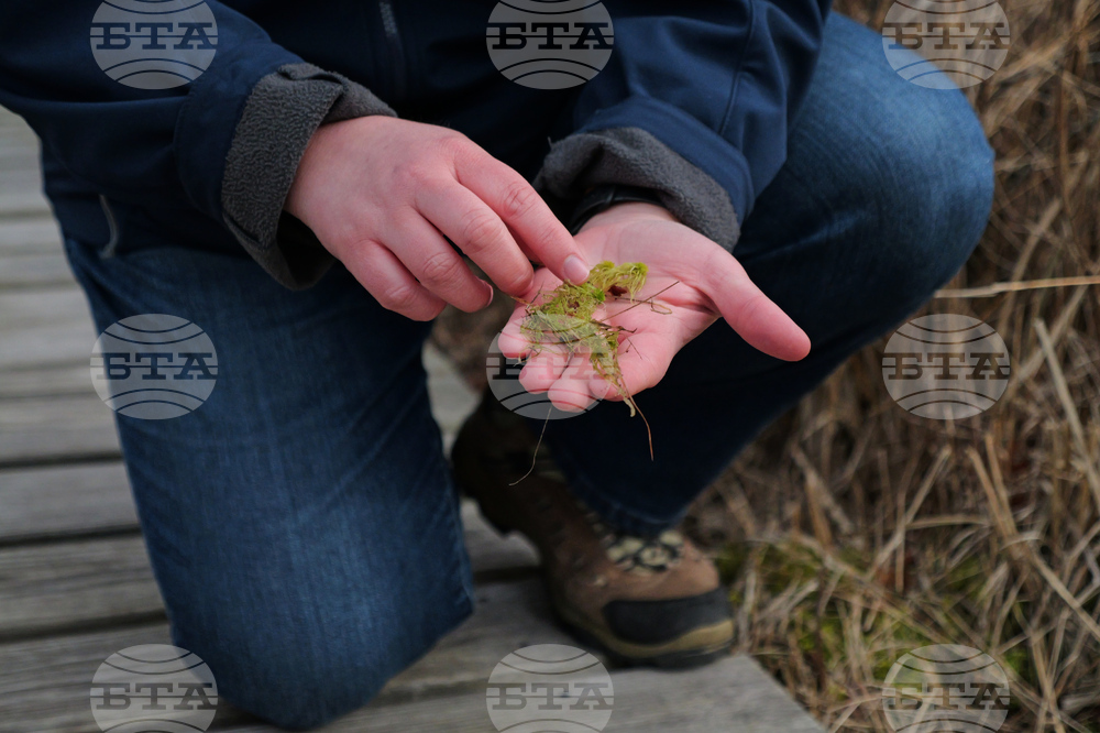 Climate Cranberry Bog Restoration