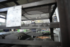 South Korea Energy Crisis