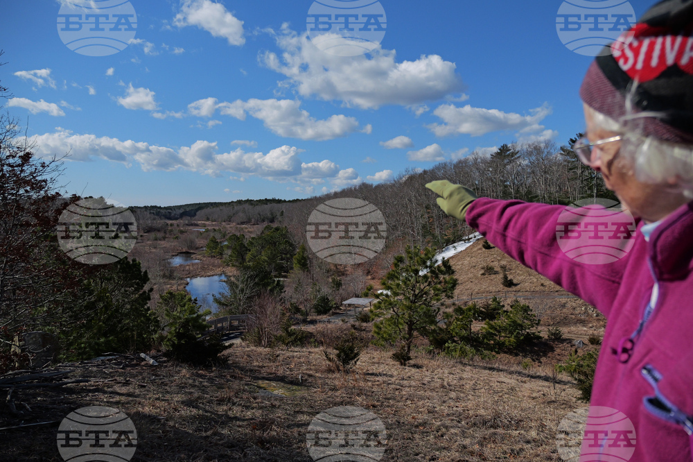 Climate Cranberry Bog Restoration