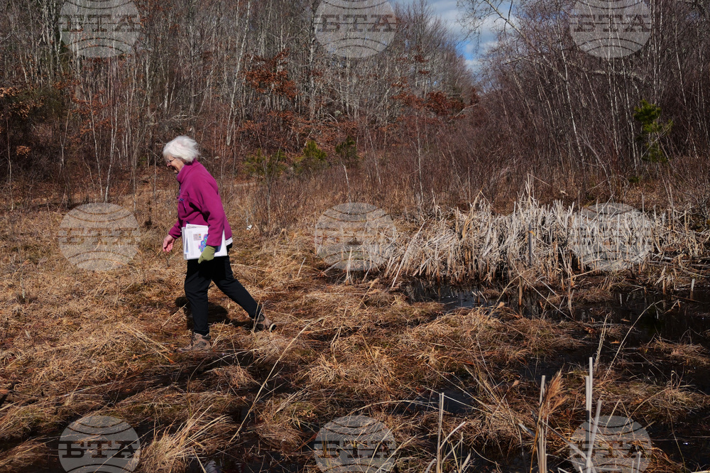 Climate Cranberry Bog Restoration