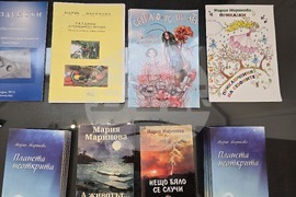 Плевен - Мария Маринова - книга