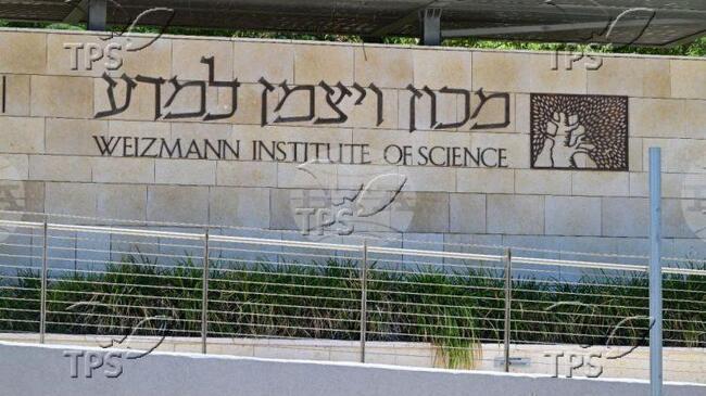 ТПС: Колониите на мравките вдъхновяват роботиката от следващо поколение и изследванията на самоизграждащите се структури