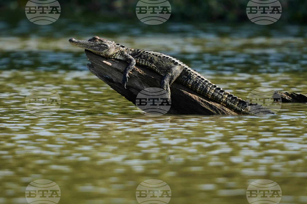 Louisiana Daily Life