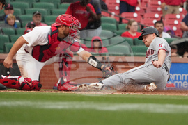 Guardians Cardinals Baseball