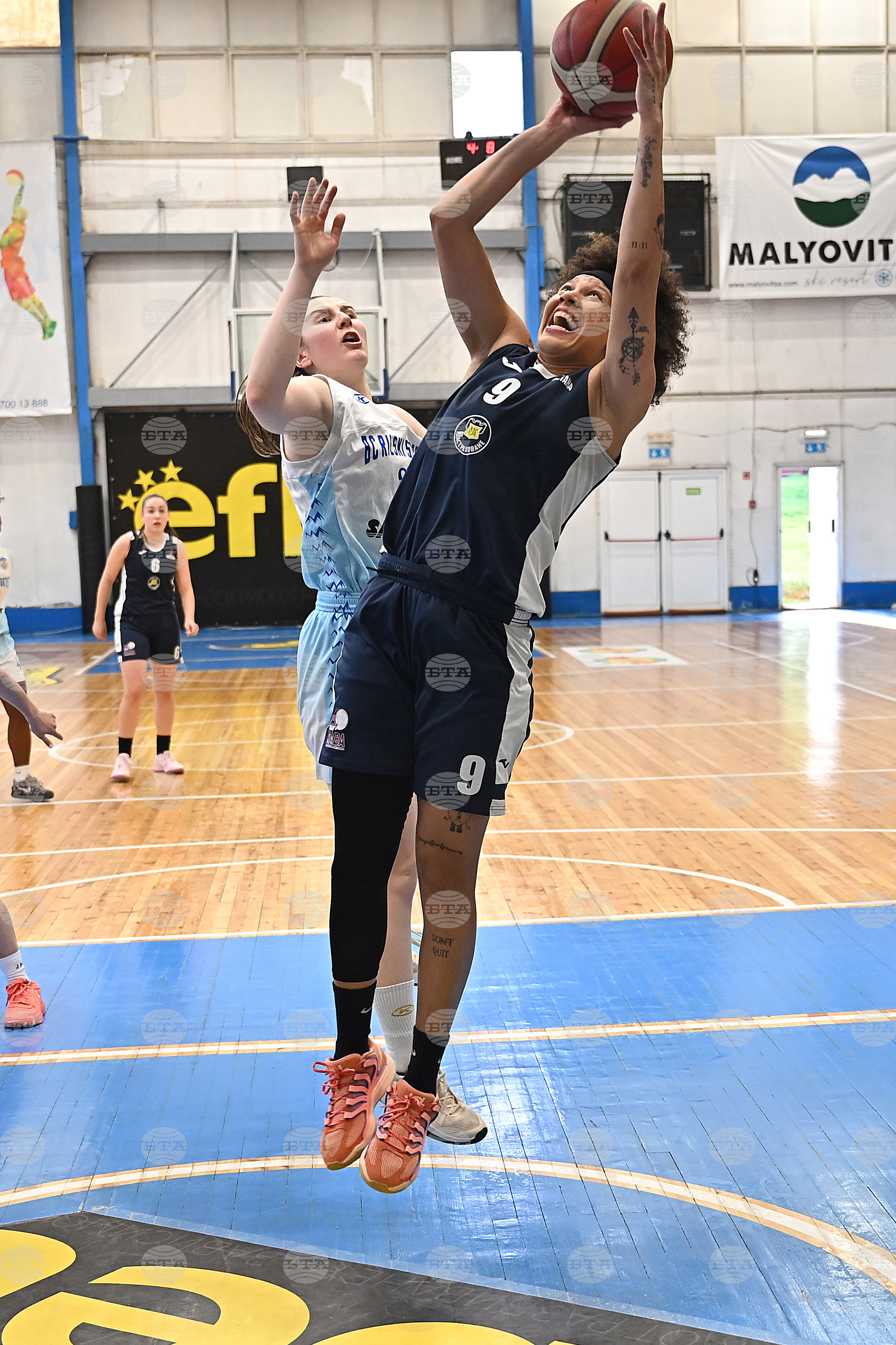 Монтана - баскетбол - финал