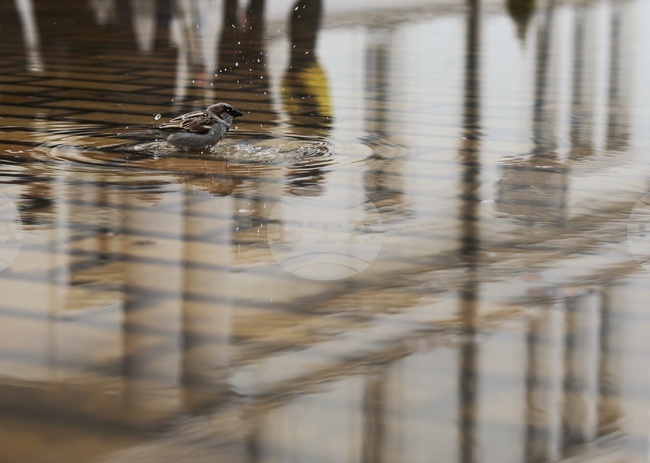 Прогноза за времето