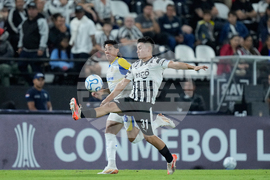 Paraguay Argentina Copa Libertadores Soccer