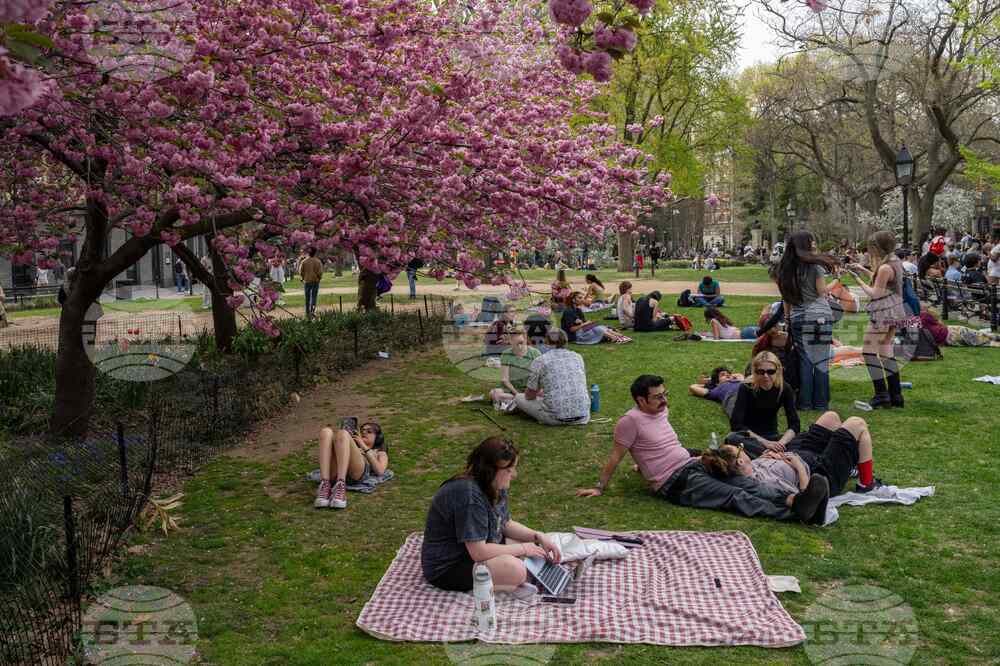 New York Daily Life