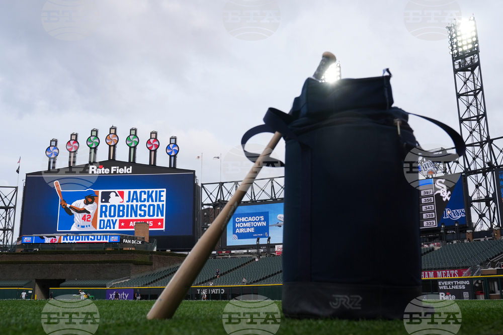 Rays White Sox Baseball